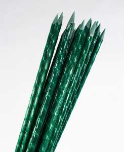   ,       POLYARM -  1