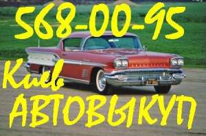 .       . (063)568-00-95  ,   . -  1