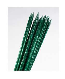         Polyarm -  1