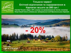       20%    -  1