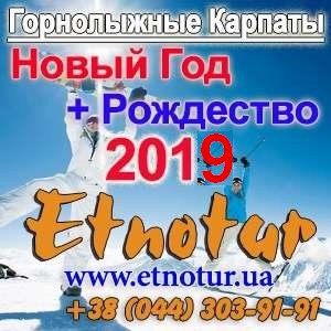       2019 -  1