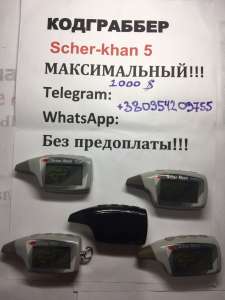      () AM+FM++++  -  1