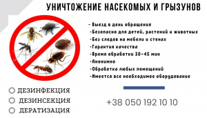      . -  1
