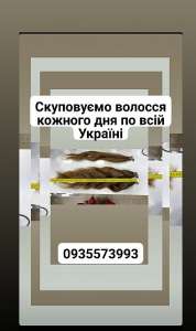      -0935573993 -  1