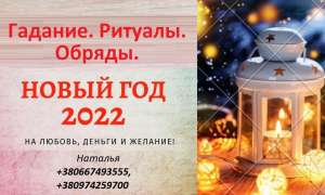  .    2022 . . -  1