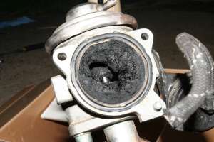      EGR -  1