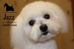  ,,    Jazz -  1