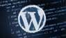 , :   , Word, Excel, WordPress, Joomla, , HTML, CSS -  3
