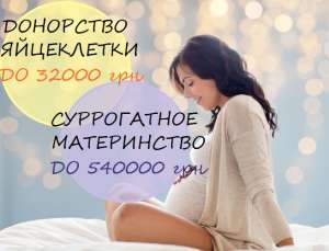  . ,  2019 -  1