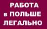   :     2019.