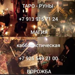    500 ₽     .  11 (   43)  ,   -  1