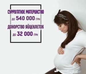    ( 540000 )    ( 32000 ) ȯ -  1