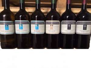     (Fragolino Fiorelli 0.75L.) .  .(Fragolino Novtllina 0.75L.).   -  1