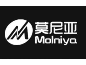     Molniya   -  1