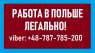   :    . Workbalance-     2019