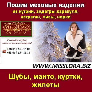   -  2013/2014  . -  1
