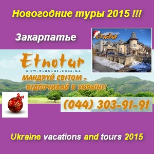   2015    -  1
