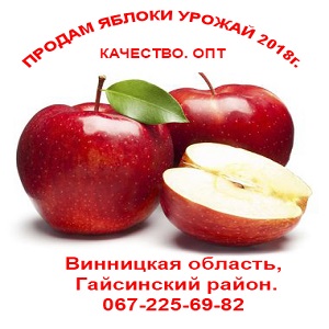    2018 ,   -  1
