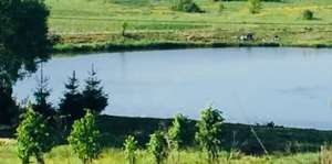    5 . :  +  + (    ).   . -  1