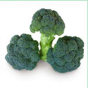    Cazzy F1 /  F1   -  1