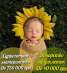   :    HappyMama