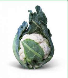    Misora F1 /  F1 () -  1