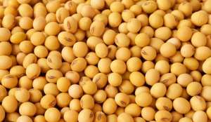    (Soybeans seeds for EXPORT) (FCA, FOB, CIF) -  1