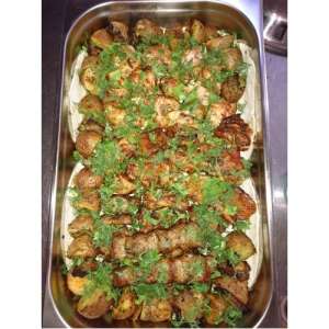  .  SV SHASHLIK. -  1