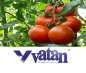   :    .Vatan Plastik. 