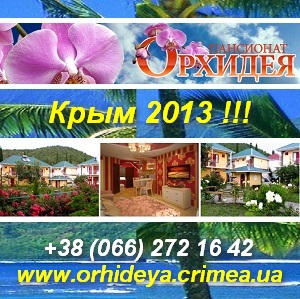   2013      -  1