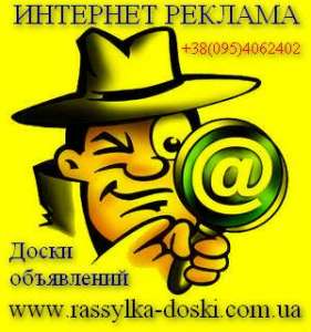   2013    ProMBB -  1