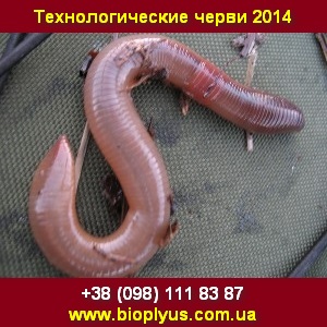   2014 ,  -  1
