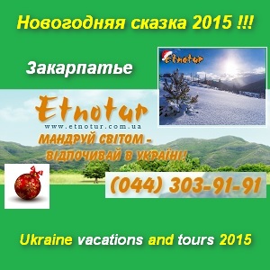   2015     -  1