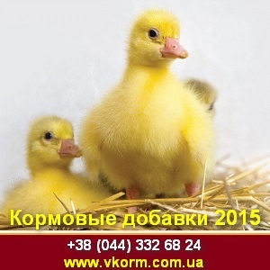   2015     -  1