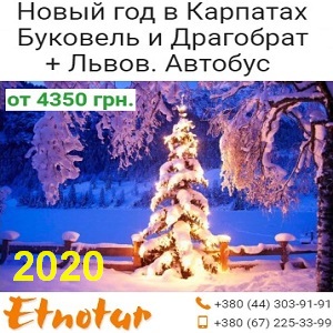   2020 .    -  1