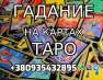   :   +380935432895