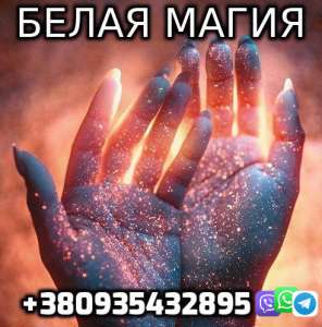   +380935432895 -  1
