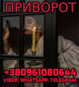   +380961080644 -  1