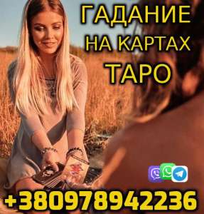   +380978942236 -  1