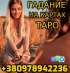   :   +380978942236