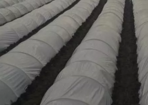   40  Vatan Plastik -  1