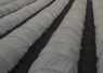   :   40  Vatan Plastik