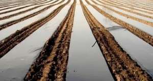   40, 30  Vatan Plastik  -  1