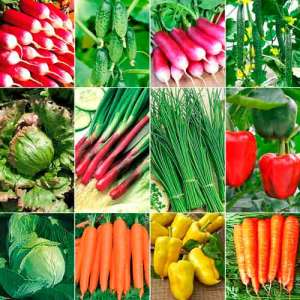 .  ."B&SProduct" -  1