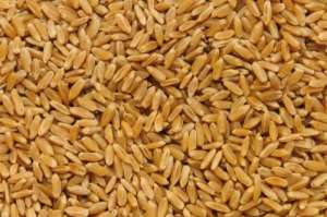   (FCA, FOB, CIF) -  1