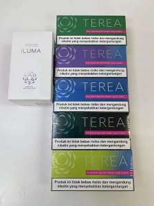   Terea for Iluma ()   -  1