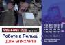   :    WELLDONE PLUS  Ӫ   в    ֲ