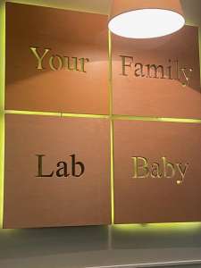   Your Family     -  1