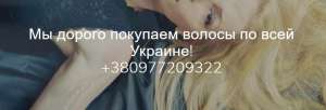   г. -  1