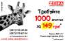  1000   149  -  3